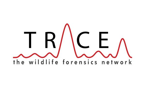 the TRACE Network