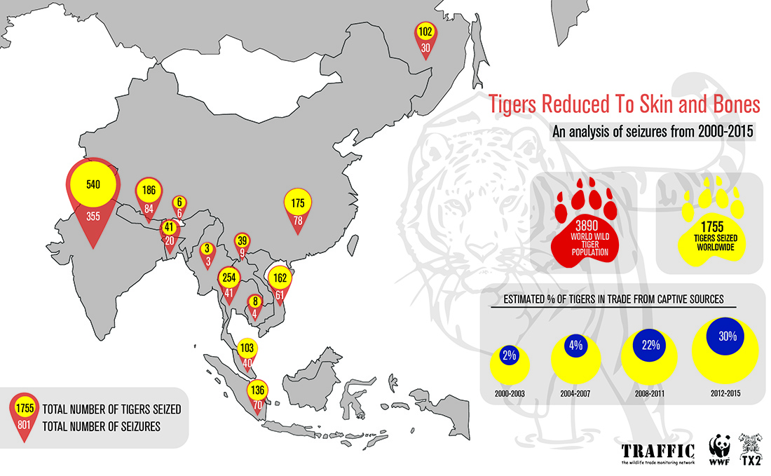 Bản đồ những vụ thu giữ liên quan đến hổ ở mỗi quốc gia trong giai đoạn 2000-2015 © TRAFFIC
