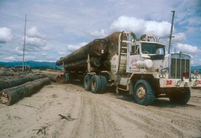 Truck bringing logs to a dumping ground in Sabah, Malaysia © Sylvia Jane Yorath / WWF