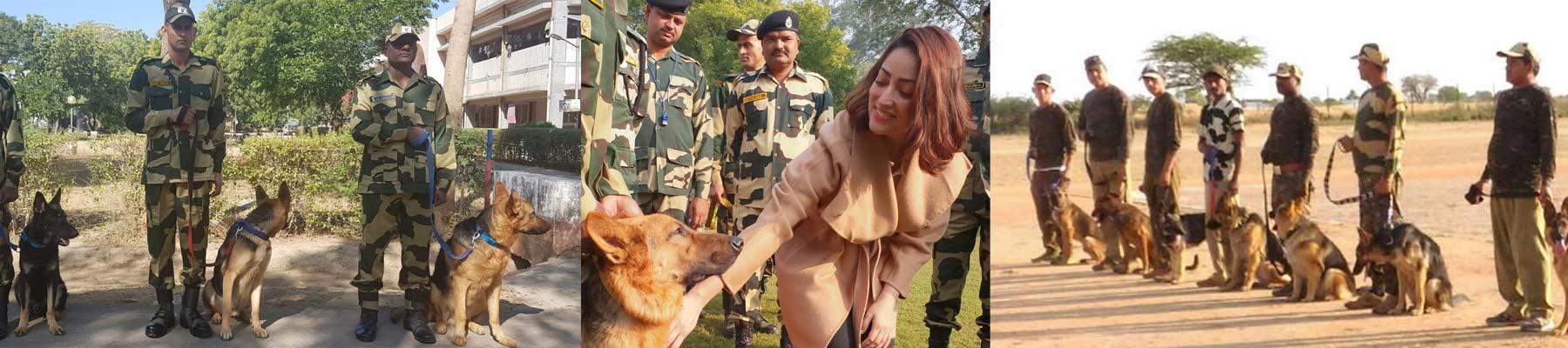 Yami Gautam meets one of the Super Sniffers (centre) © TRAFFIC 