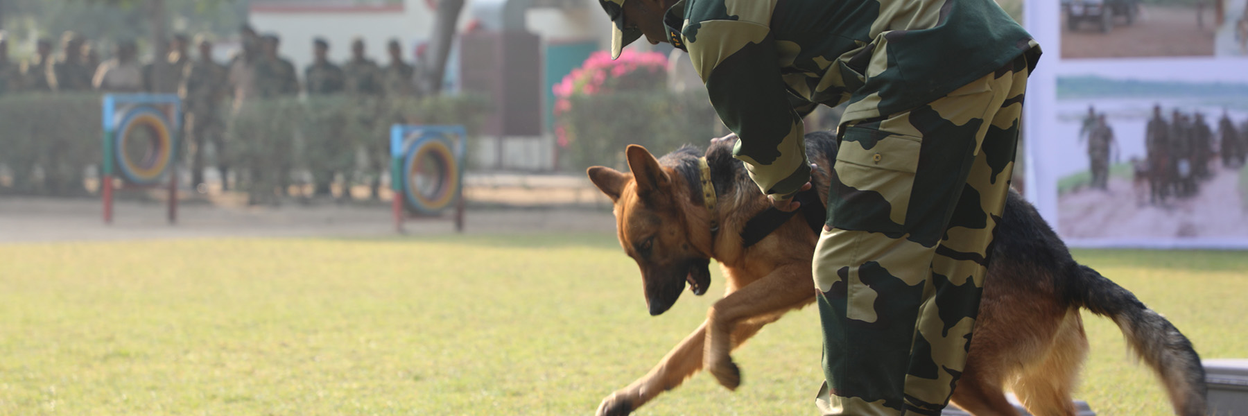 A wildlife sniffer dog undergoes training in India