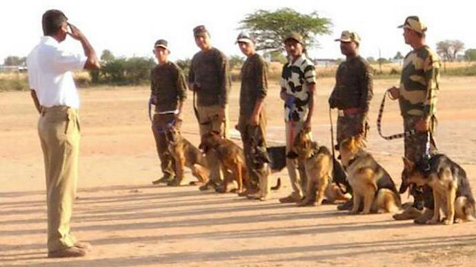 Sniffer dog squads at a passing out ceremony © TRAFFIC 