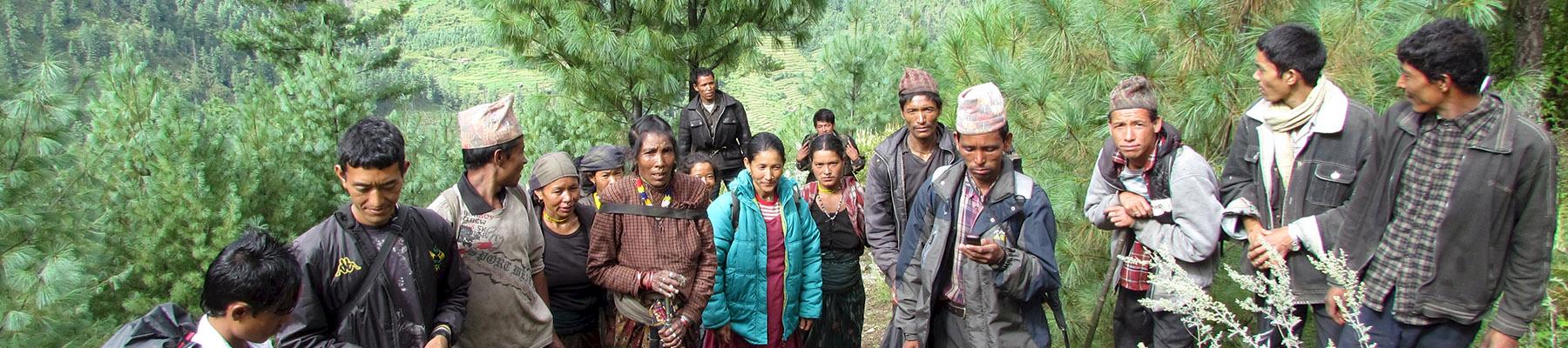 Jatamansi harvesters in the Alpine forests of Nepal. Photo: ANSAB