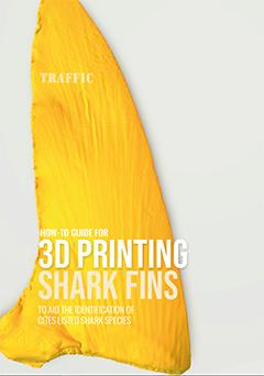 THE WORLD'S FIRST EVER3D SHARK FIN SCAN LIBRARY