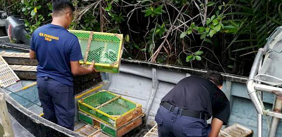 Officers recovering the drowned birds in Melaka, Malaysia © Malaysian Maritime Enforcement Agency