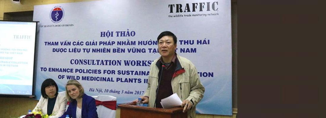 Pham Vu Khanh, Director of the Administration of Traditional Medicine told delegates: “We can improve the sustainable management of medicinal plants while improving the livelihoods of individuals that depend on these resources.” © TRAFFIC