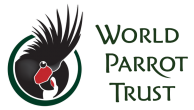 World Parrot Trust