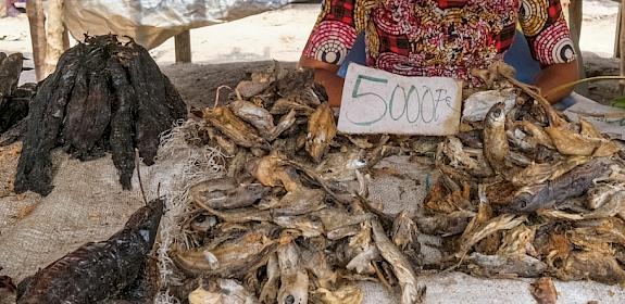 Bushmeat market in Democratic Republic of Congo © Axel Fassio/CIFOR