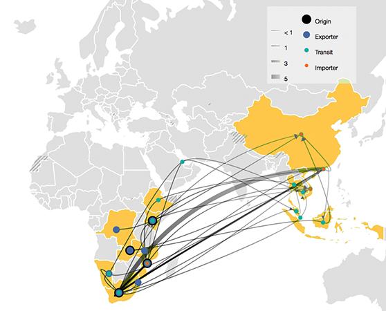 Advances in data mapping and analytics provide invaluable insights into emerging trade trends. This graphic shows illicit trade routes for rhino horn captured from seizures between 2016–2017 © TRAFFIC