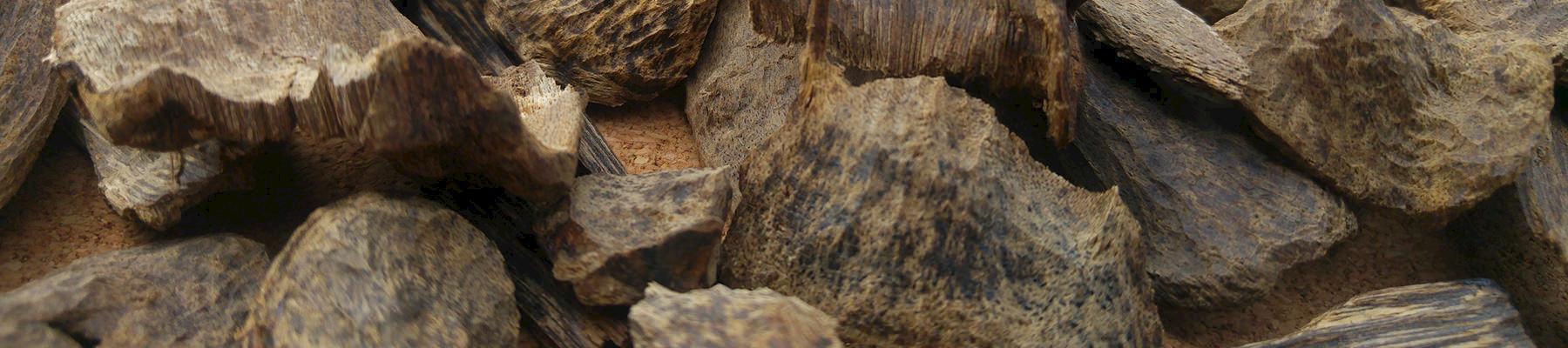 Pieces of agarwood ready for sale © Agarwood for Life / CC Generic 2.0