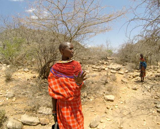 FairWild helped run a project in Kenya working to help local frankincense collectors use sustainable practices and reap the rewards from responsible harvesting © Ackroyd & Harvey / Conflicted Seeds