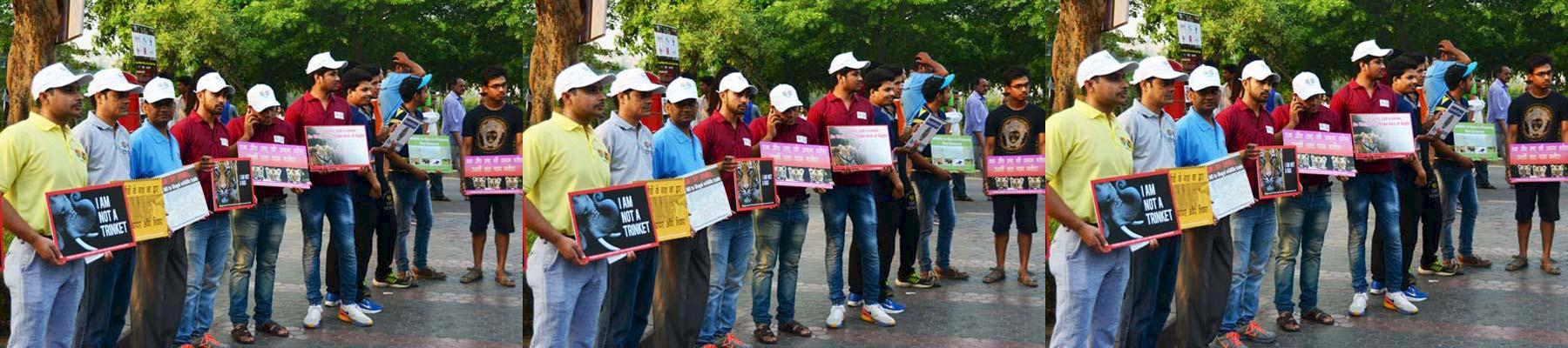 Volunteers and supporters holding placards with messages related to wildlife conservation © WWF India