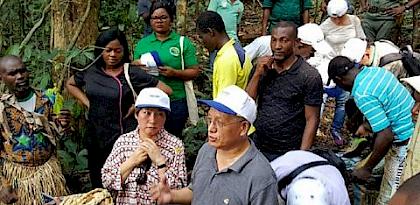 Chinese timber industry representatives visit Cameroon