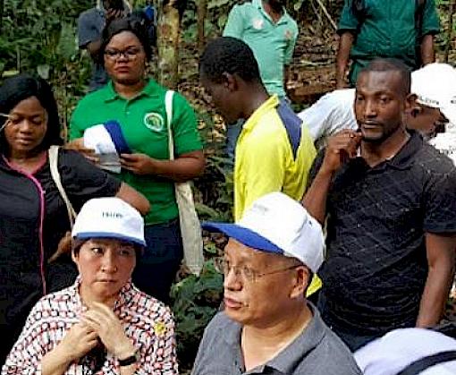 Chinese timber industry representatives visit Cameroon