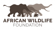 African Wildlife Foundation