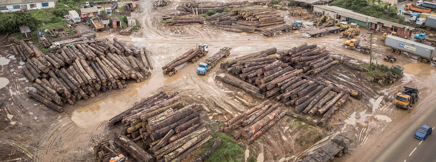 Gỗ chất đống dọc theo con đường chính tới Douala, Cameroon © Andrew Walmsley / TRAFFIC