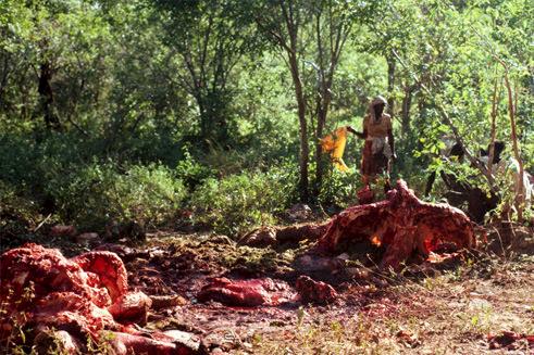 Collecting elephant meat shot on safari in Zambezi Valley, Zimbabwe © Russell Douglas Taylor / WWF