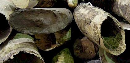 File photo of seized ivory in a government warehouse © TRAFFIC