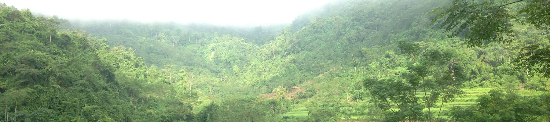 The landscape of a training event for wild harvesters near Ban Nada Cho Don in Bac Kan province, Viet Nam