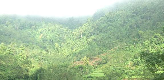 The landscape of a training event for wild harvesters near Ban Nada Cho Don in Bac Kan province, Viet Nam