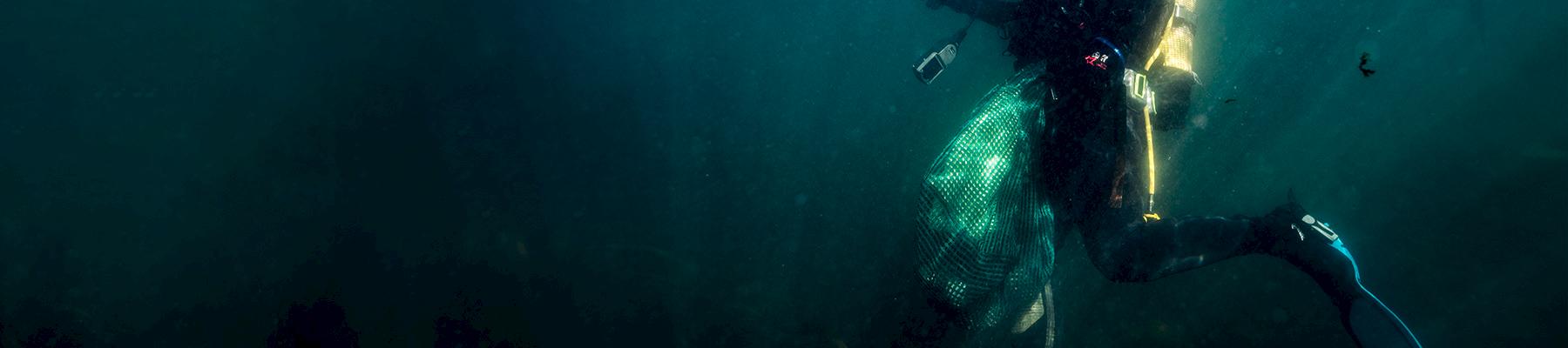 A poacher with a bag of fresh abalone © Shaun Swingler