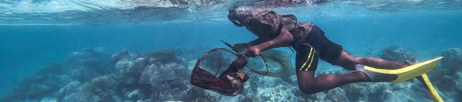 A diver from a coastal community in Kenya dives in search of ornamental fish - an essential livelihood for thousands. Photo: Nathalie Bertrams