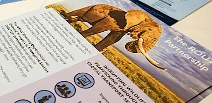 Airports Council International and the ROUTES Partnership Train Airport Leaders from Latin America and the Caribbean on Combating Wildlife Trafficking