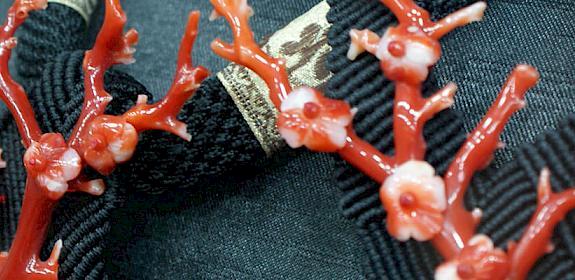 Precious red coral 