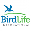 BirdLife