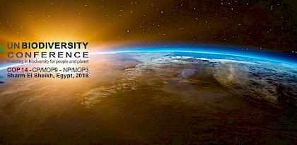 Efforts to halt world’s biodiversity loss under the spotlight