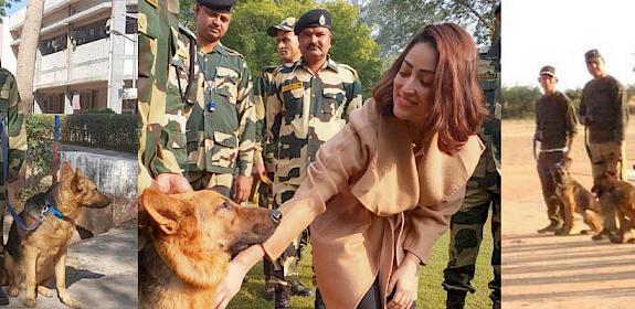 Yami Gautam meets one of the Super Sniffers (centre) © TRAFFIC 