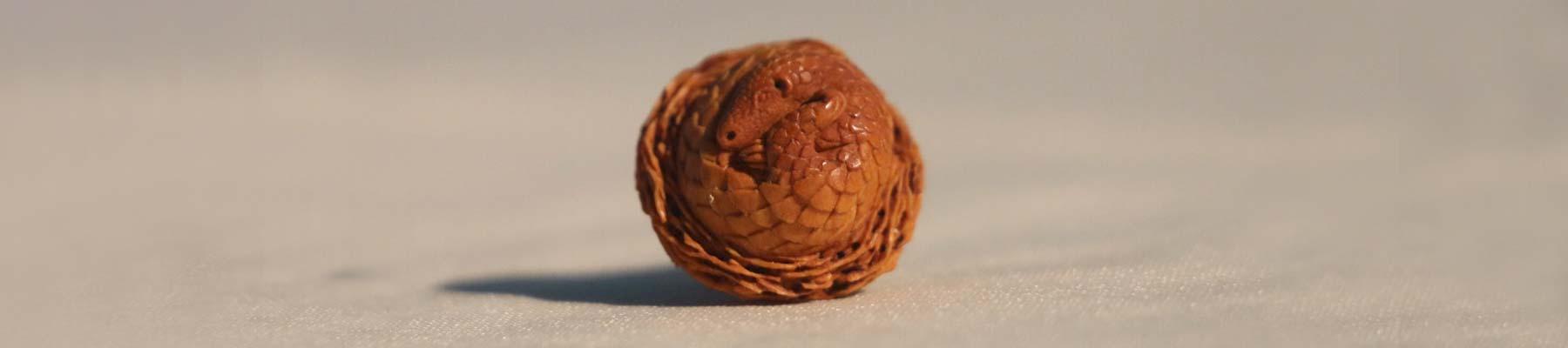 A carved olive pit depicting a sleeping pangolin © TRAFFIC 