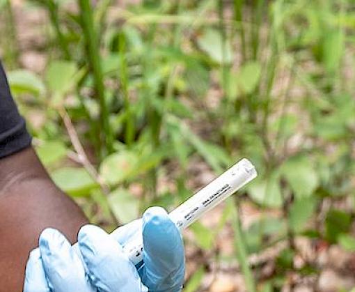 US Ambassador visits forensics training workshop in Zambia