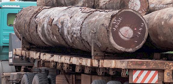 Trucks carrying timber wait to offload at Douala port, Cameroon. Cameroon is the major avenue for Congo Basin timber exports to Asia. Photo: TRAFFIC / A. Walmsley