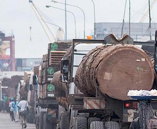 TRAFFIC project to equip stakeholders with new tools to ensure sustainable timber trade