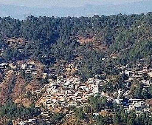 High flying: securing livelihoods and biodiversity in India’s Himalayas
