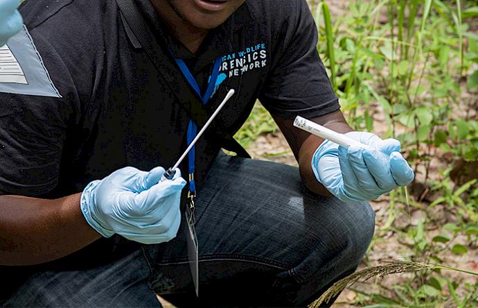 A forensic scientist receives training on wildlife crime scene collection techniques in Zambia. Photo: TRACE Network