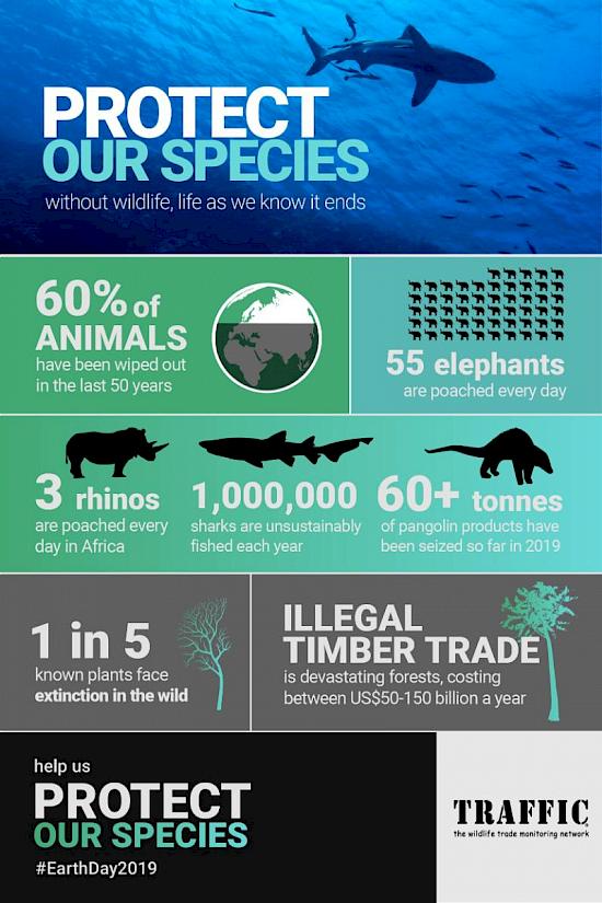 Protect our Species” on #EarthDay2019 - Wildlife Trade News from TRAFFIC