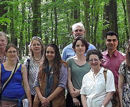Wild plant experts and stakeholders meet at FairWild Forum 2019 in Budapest