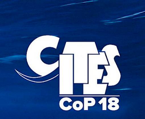 Key CITES meeting ahead of big year for biodiversity