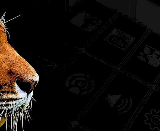 Combating Wildlife Crime linked to the internet