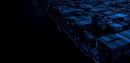 Countering wildlife trafficking through Tanzania's ports