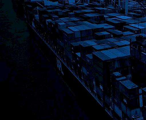 Countering wildlife trafficking through Tanzania's ports