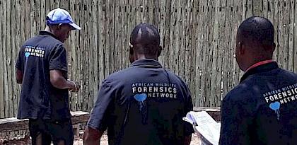 Forensics training in Zimbabwe © Rob Ogden / TRACE