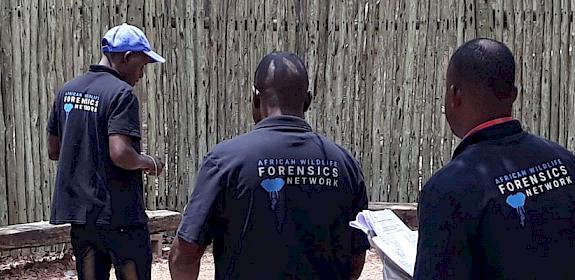 Forensics training in Zimbabwe © Rob Ogden / TRACE