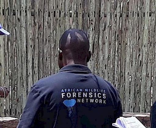 Wildlife forensics training in Africa highlighted at Zambia meeting