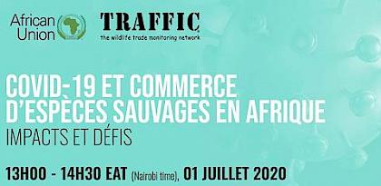 Joint African Union - TRAFFIC webinar on Wildlife Trade in Africa