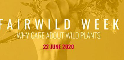 FairWild Week 2020: why wild plants matter more than ever