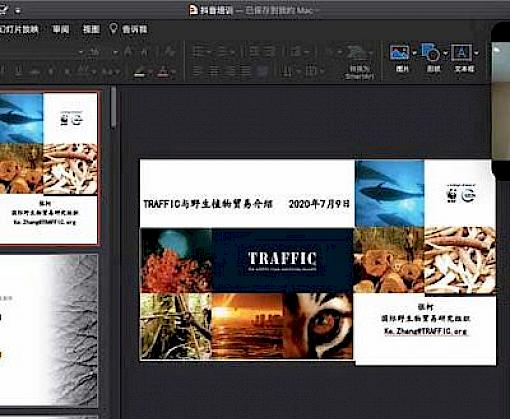 Countering illegal plant trade: TRAFFIC hosts virtual training for staff of internet giant Douyin.com
