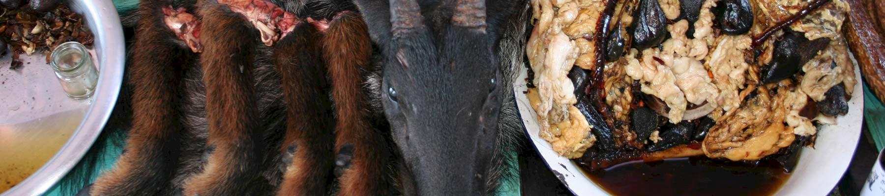 Wildlife products for sale in a SE Asian market © TRAFFIC 